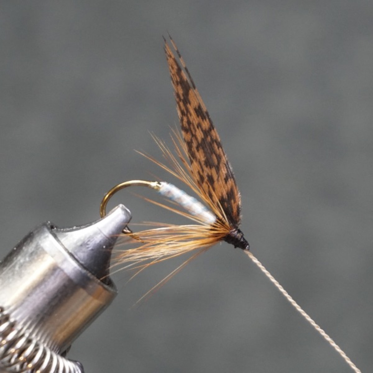 Kingdom fly pattern tied by Christian Andrews