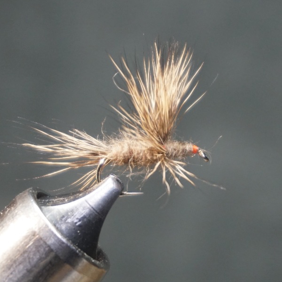 Haystack fly pattern tied by Christian Andrews