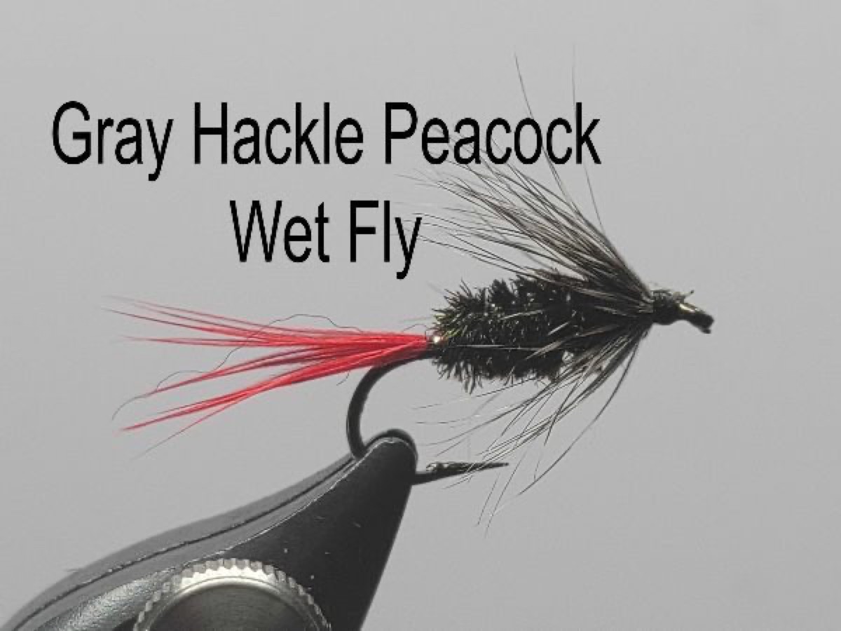 Gray Hackle Peacock Wet Fly fly pattern tied by Darrell Olson