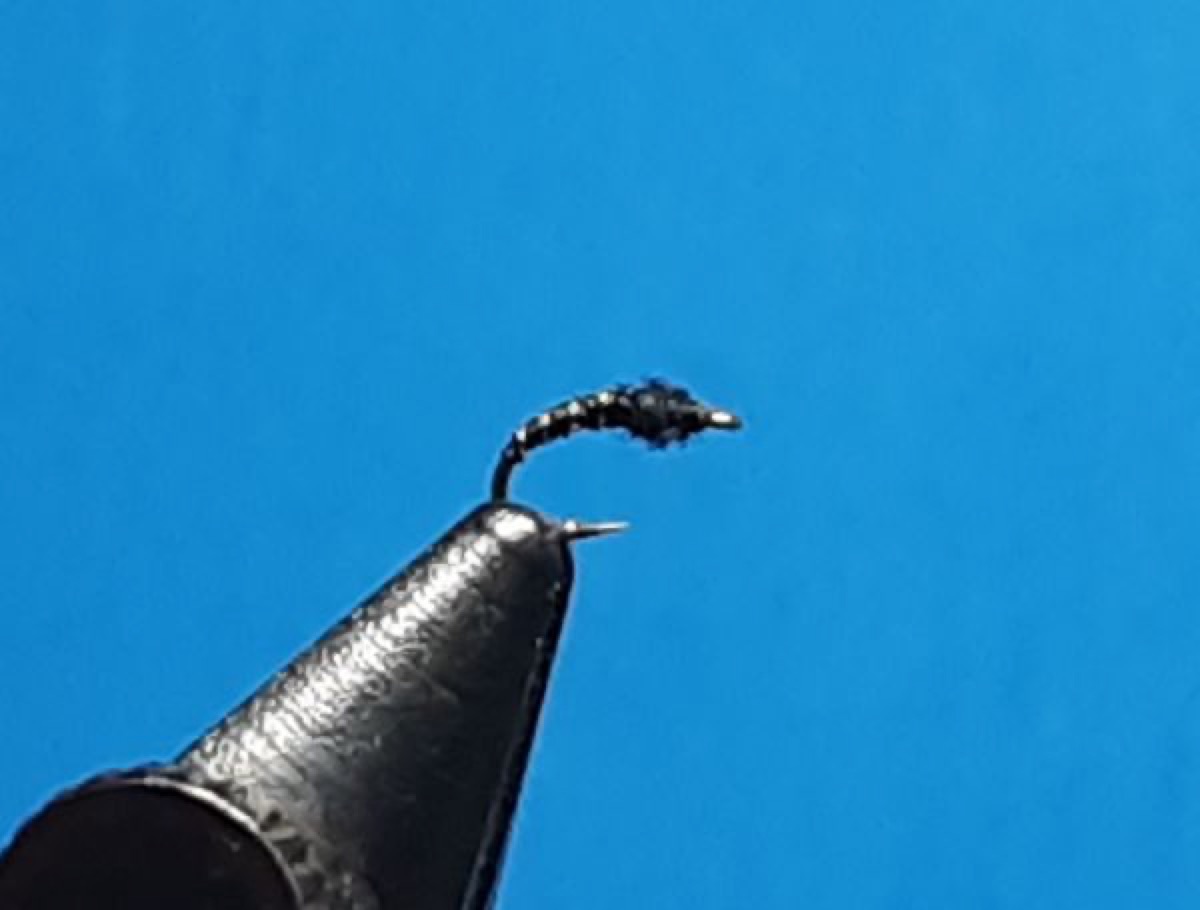 Black Beauty midge pupa fly pattern tied by Al Agelwei