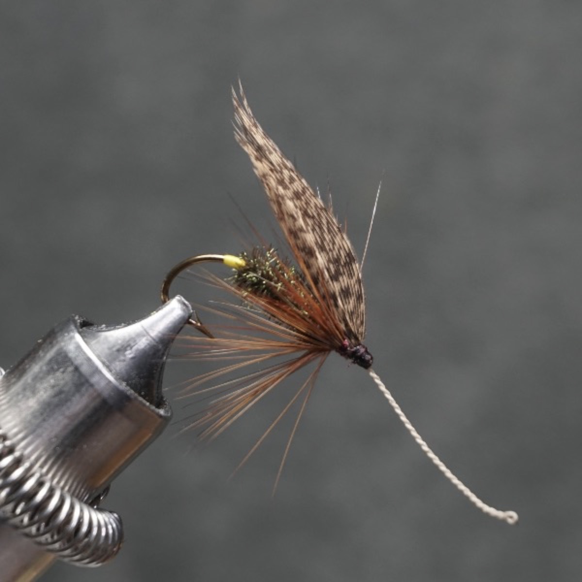 Lowry fly pattern tied by Christian Andrews