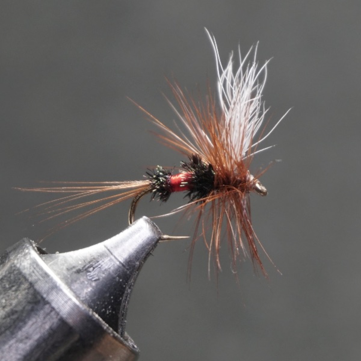 Quack fly pattern tied by Christian Andrews