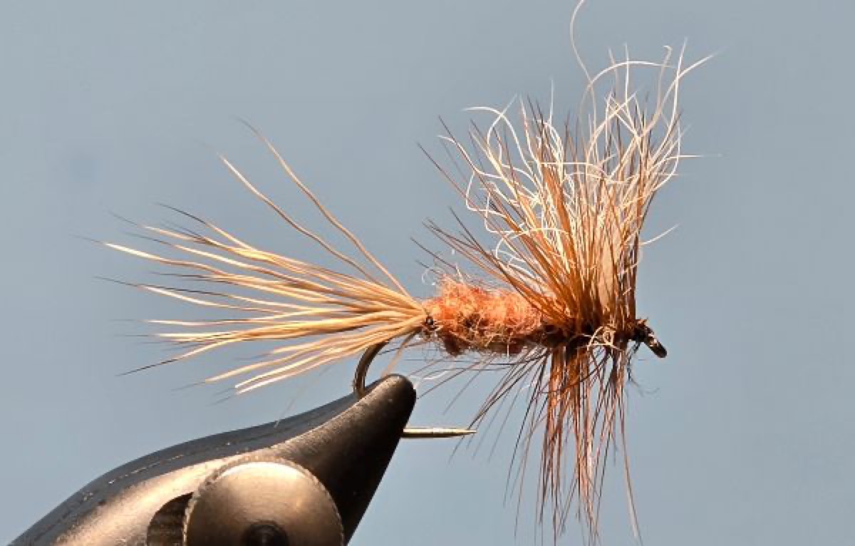 Thunderhead fly pattern tied by Darrell Olson