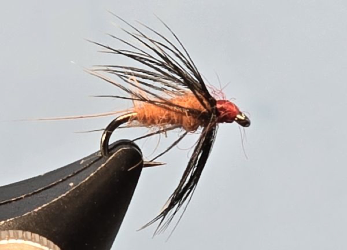 Sow Bug Soft Hackle fly pattern tied by Darrell Olson