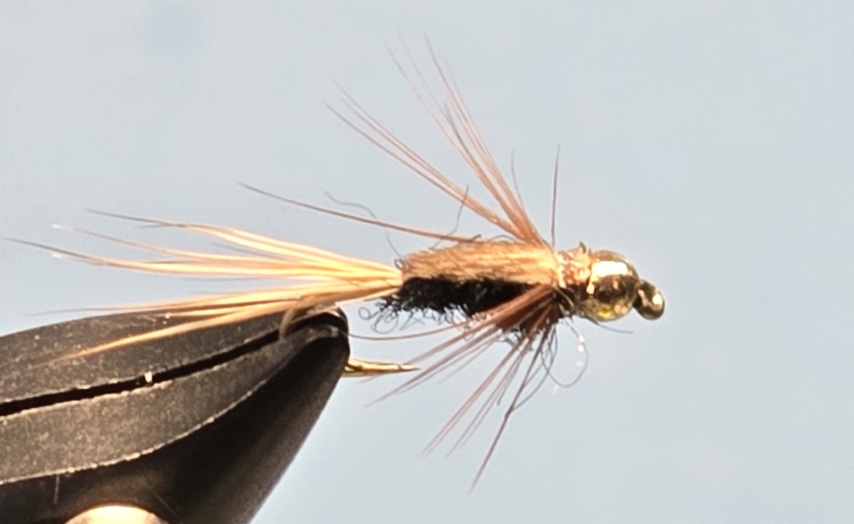 My Pet fly pattern tied by Darrell Olson