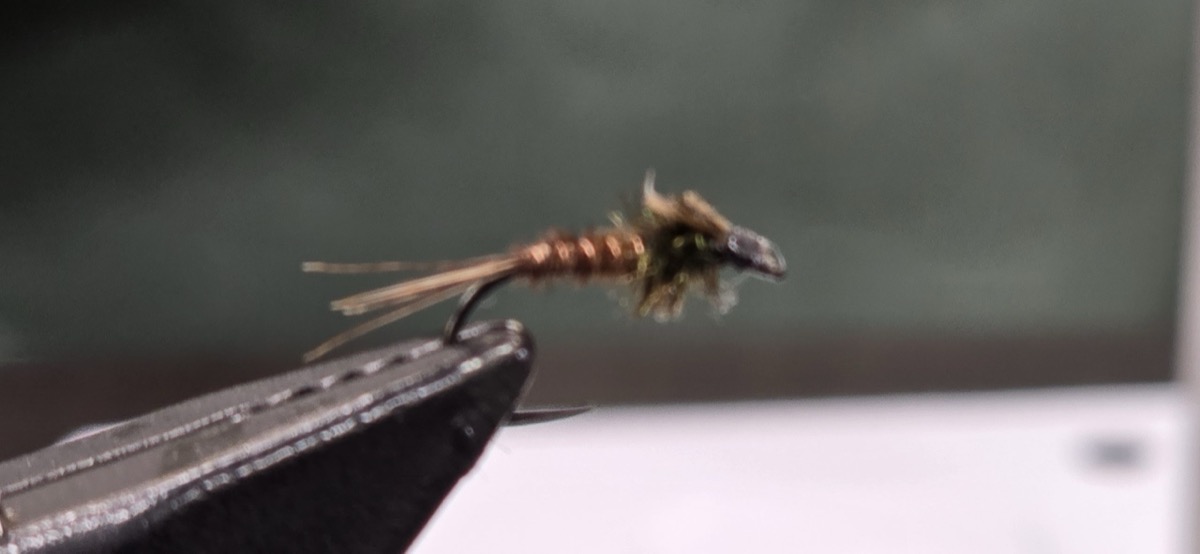 The American Pheasant Tail Nymph fly pattern tied by Darrell Olson