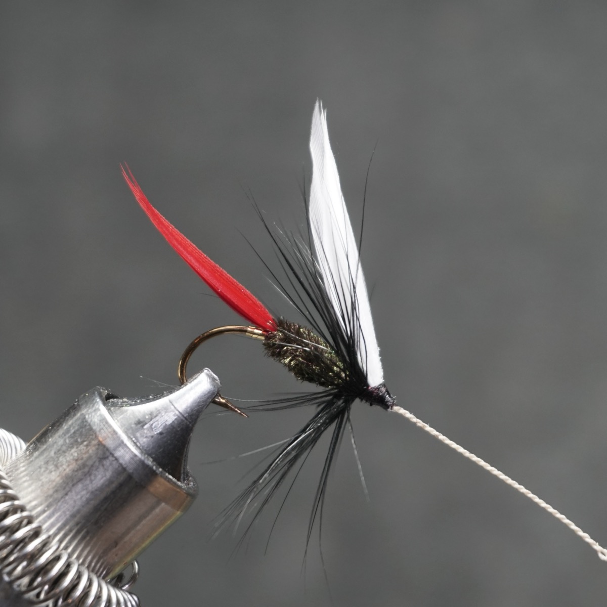Lady Martha fly pattern tied by Christian Andrews