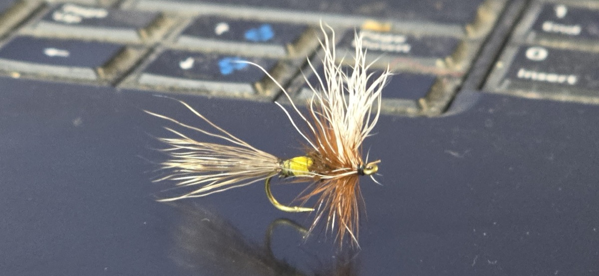 Carolina Wulff fly pattern tied by Darrell Olson