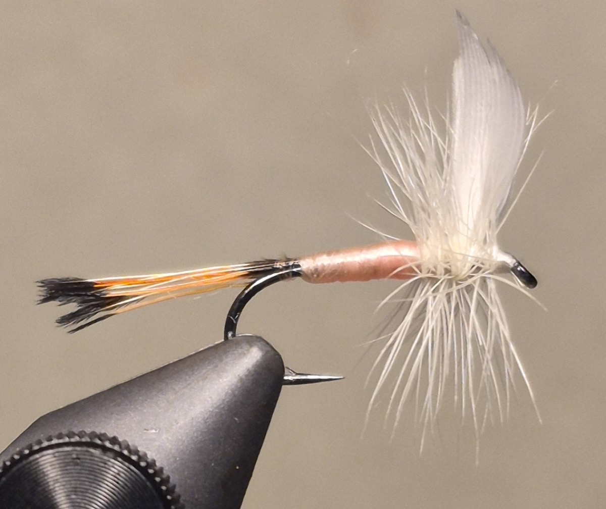 Pink Lady fly pattern tied by David Matthews