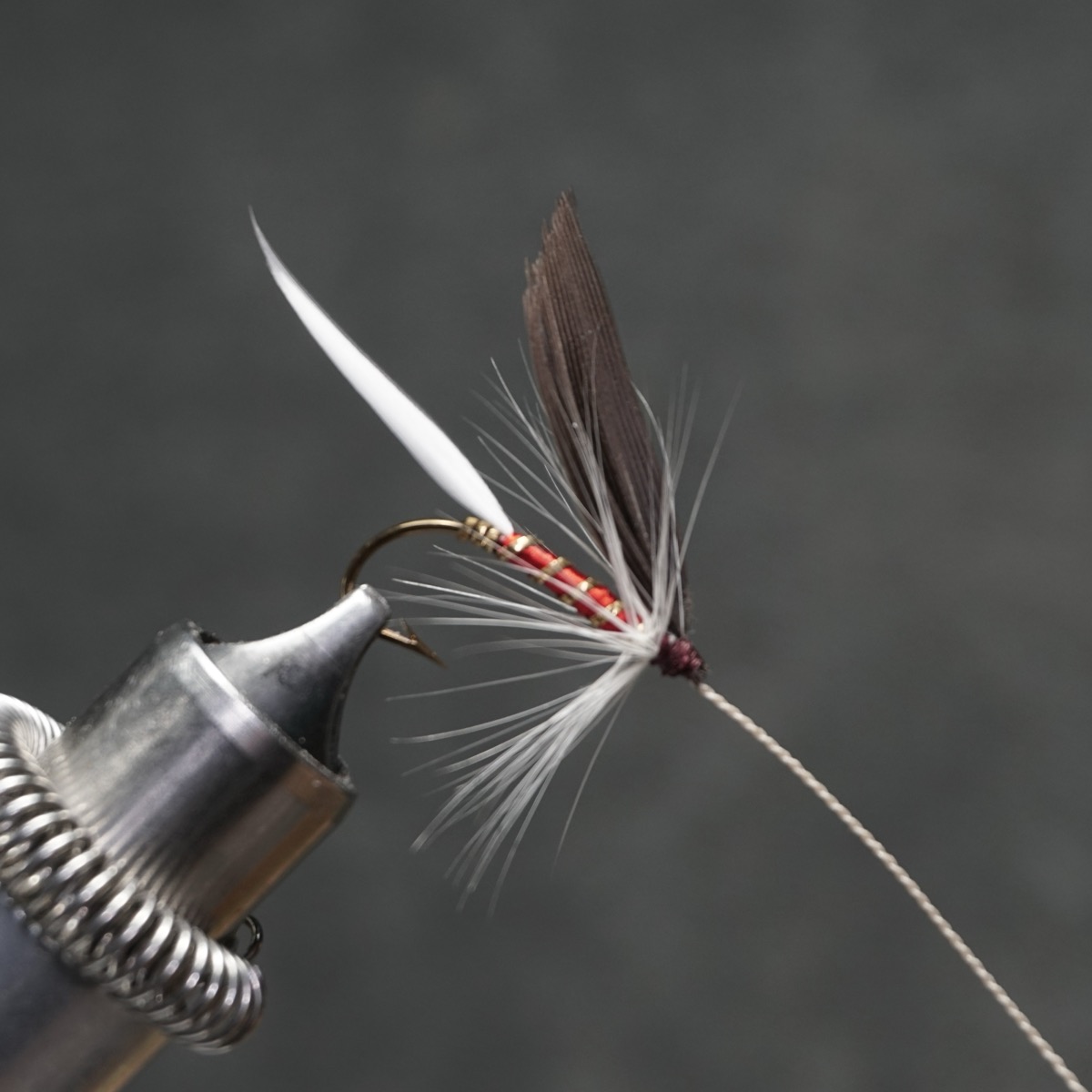 Lady Sue fly pattern tied by Christian Andrews