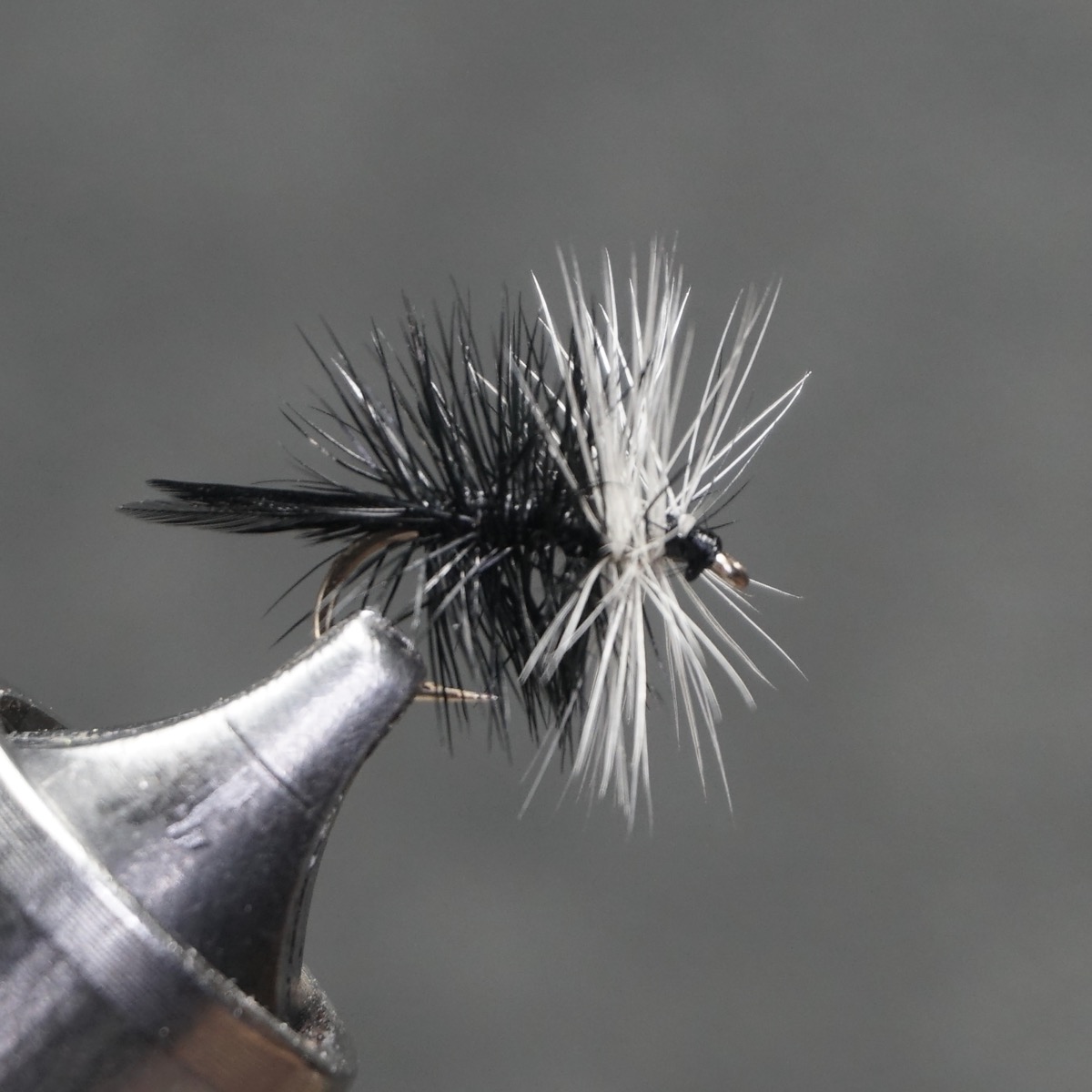 Black Bivisible fly pattern tied by Christian Andrews
