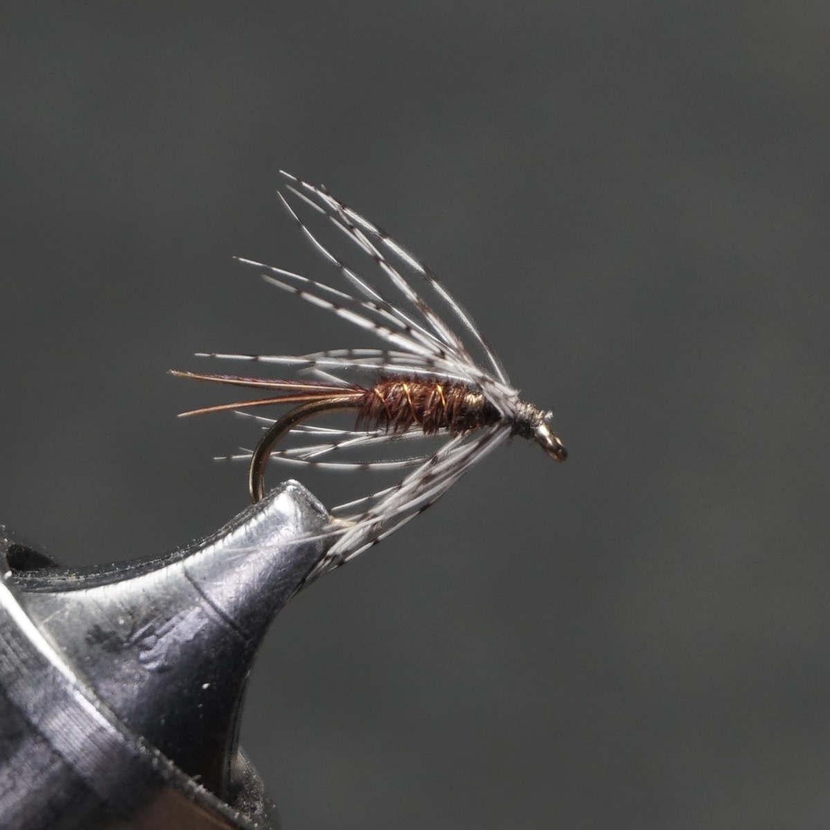 Pheasant Tail Soft Hackle fly pattern tied by Christian Andrews