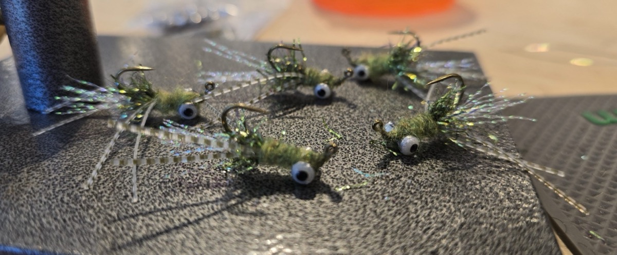 Bluegill Belly Bean fly pattern tied by Darrell Olson
