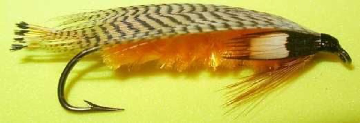 The Wood Special fly pattern tied by Joe Sterling