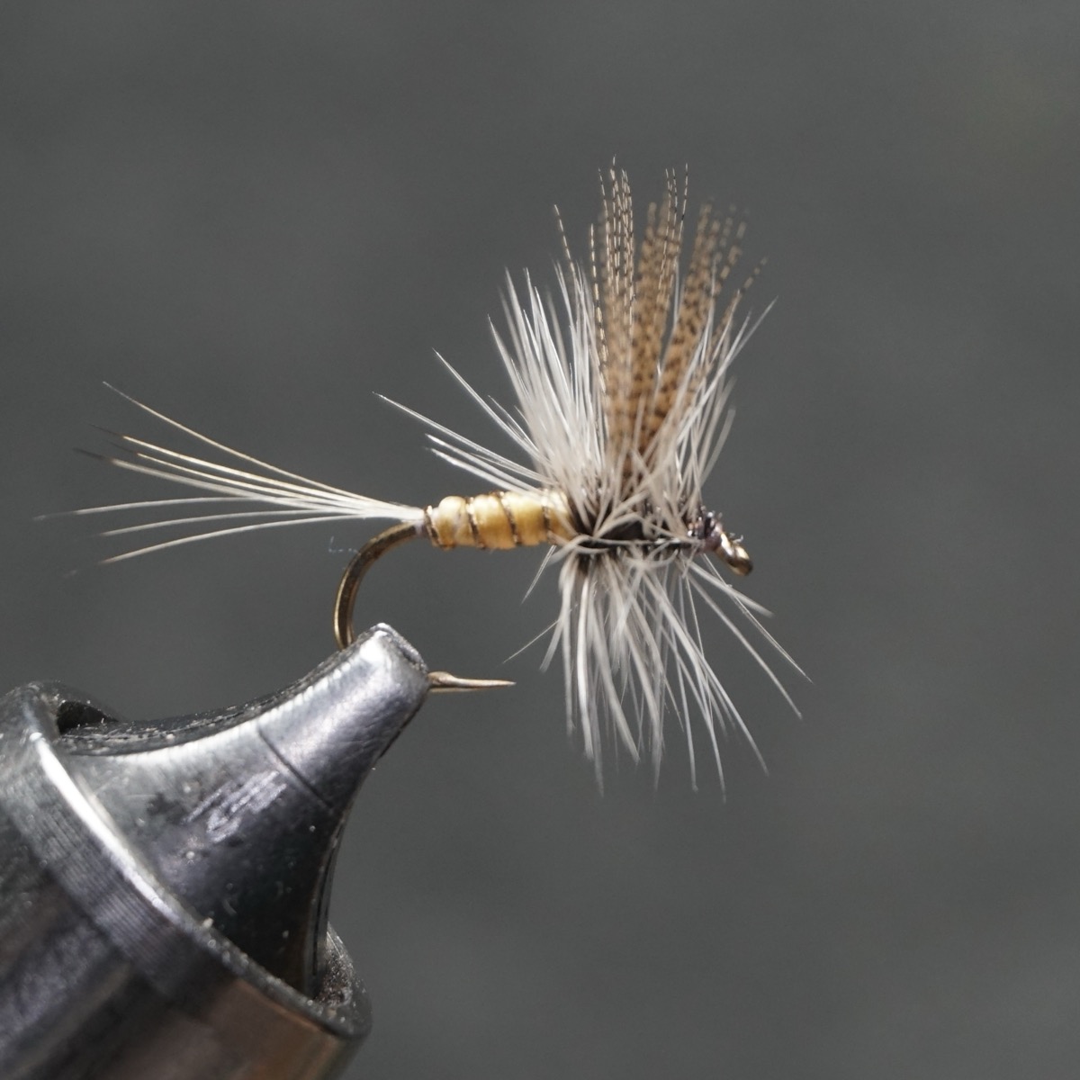 Gordon fly pattern tied by Christian Andrews