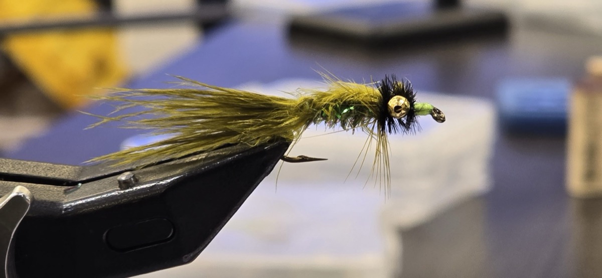 Walter Shockley's Sunfish Fly fly pattern tied by Darrell Olson