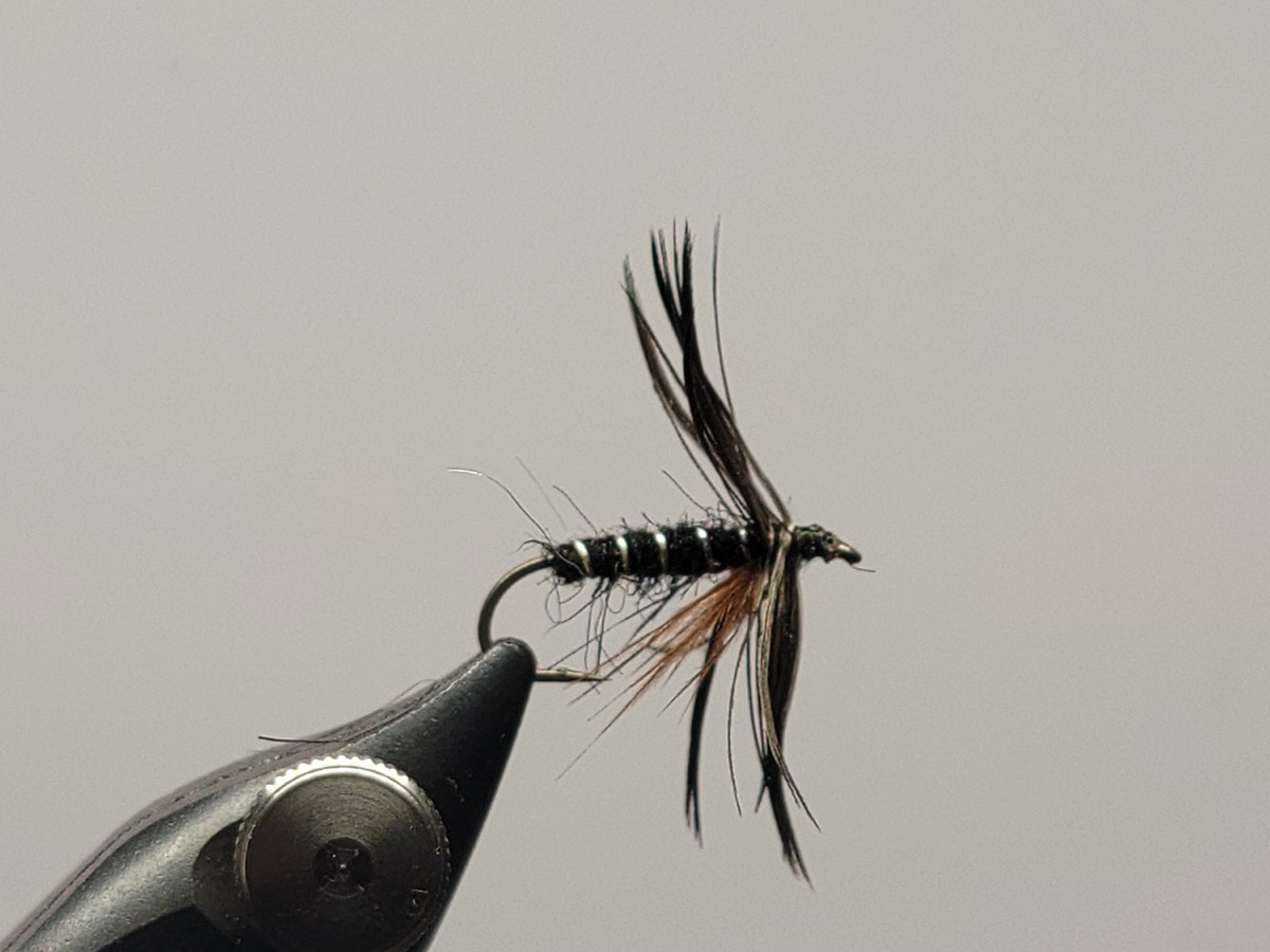Smoky Mountain Blackbird fly pattern tied by Darrell Olson