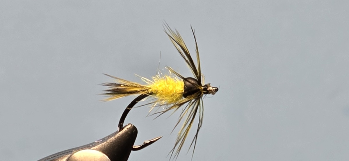 Panfish Soft Hackle fly pattern tied by Darrell Olson