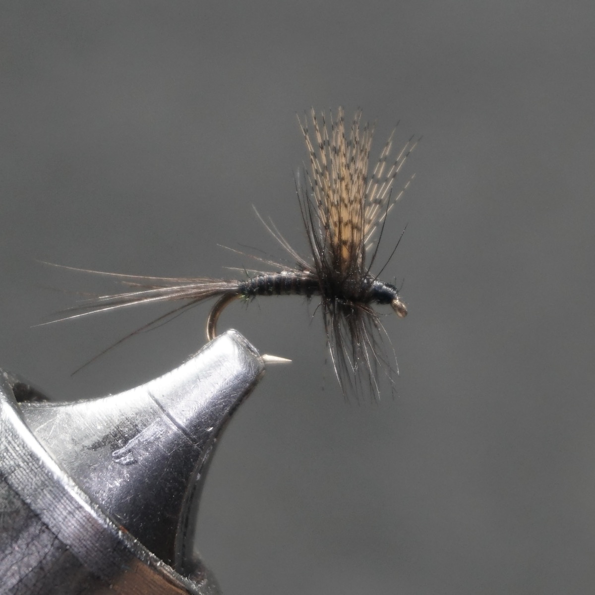 Spruce Creek Dry Fly fly pattern tied by Christian Andrews