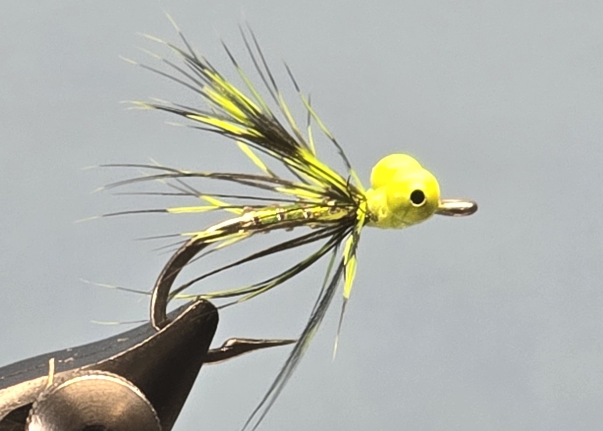 Soft Hackle Shad Fly fly pattern tied by Darrell Olson
