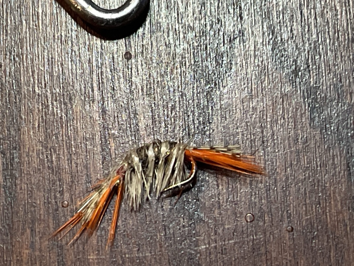 Ron’s Scud fly pattern tied by Brent Jones