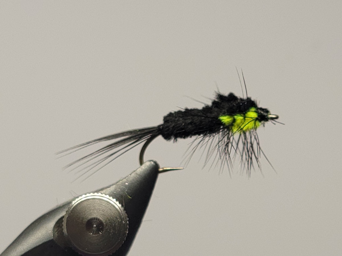 Montana Nymph fly pattern tied by Darrell Olson