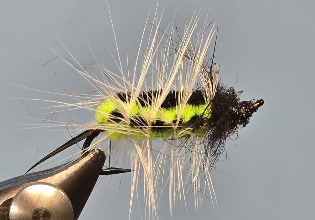 Catalpa Worm fly pattern tied by Darrell Olson
