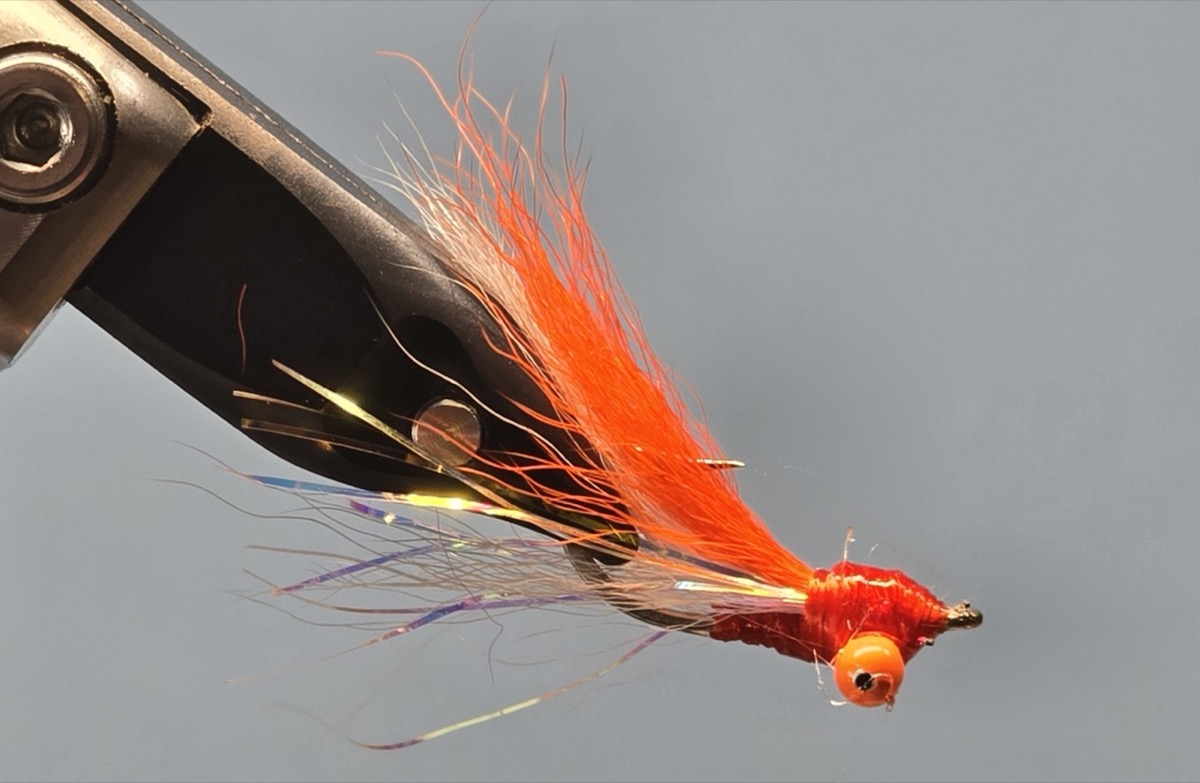 St. Johns High Tie Minnow Fly fly pattern tied by Darrell Olson