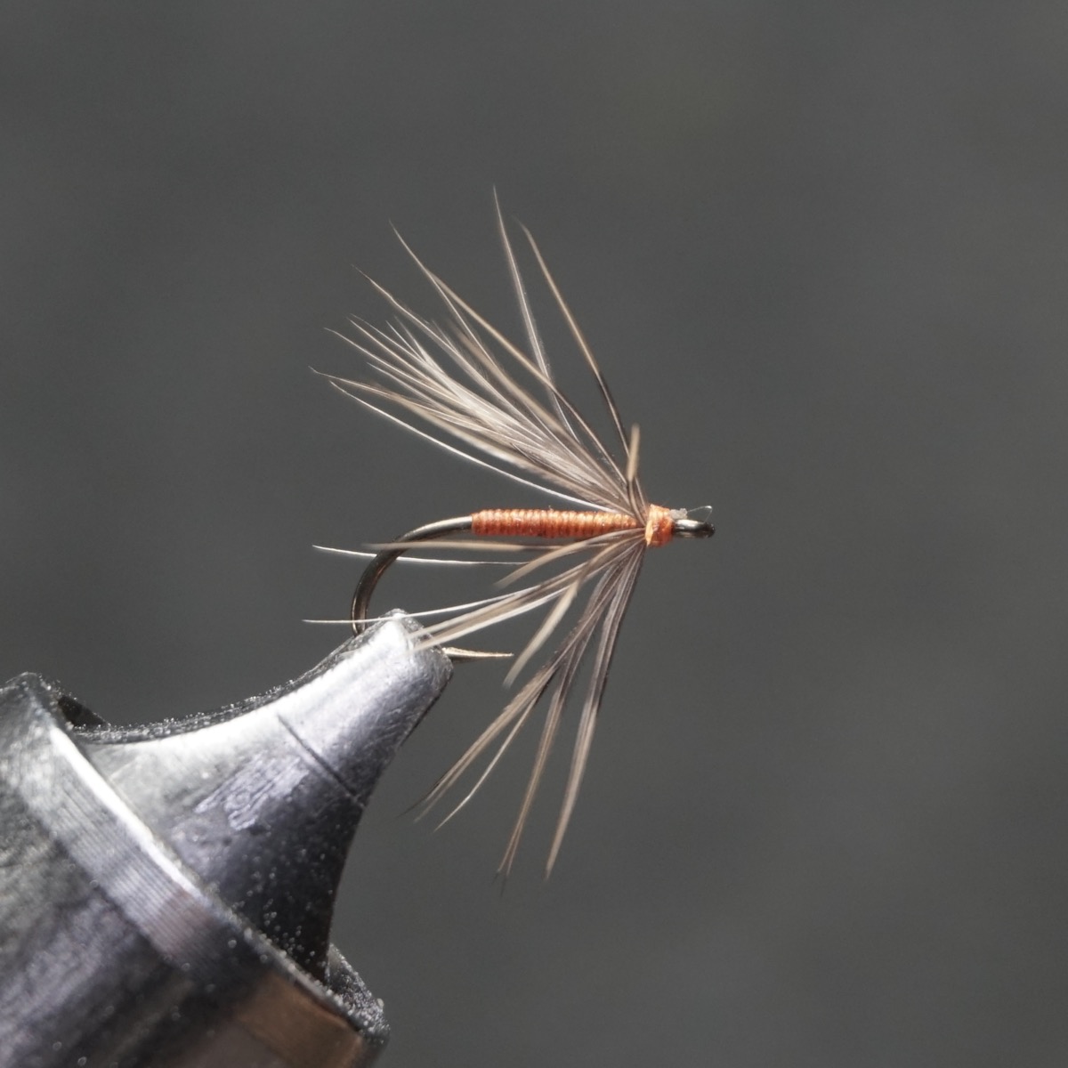 Quail & Orange fly pattern tied by Christian Andrews
