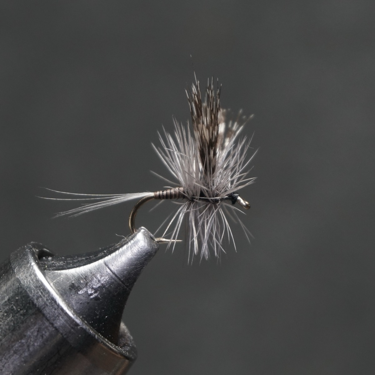 Quill Gordon fly pattern tied by Christian Andrews