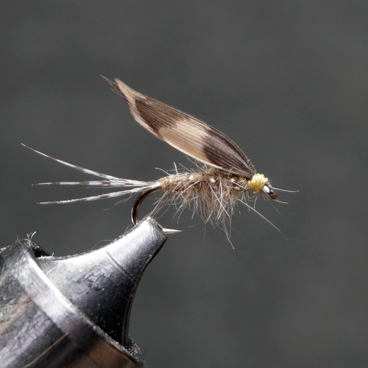 Hare’ Ear fly pattern tied by Christian Andrews