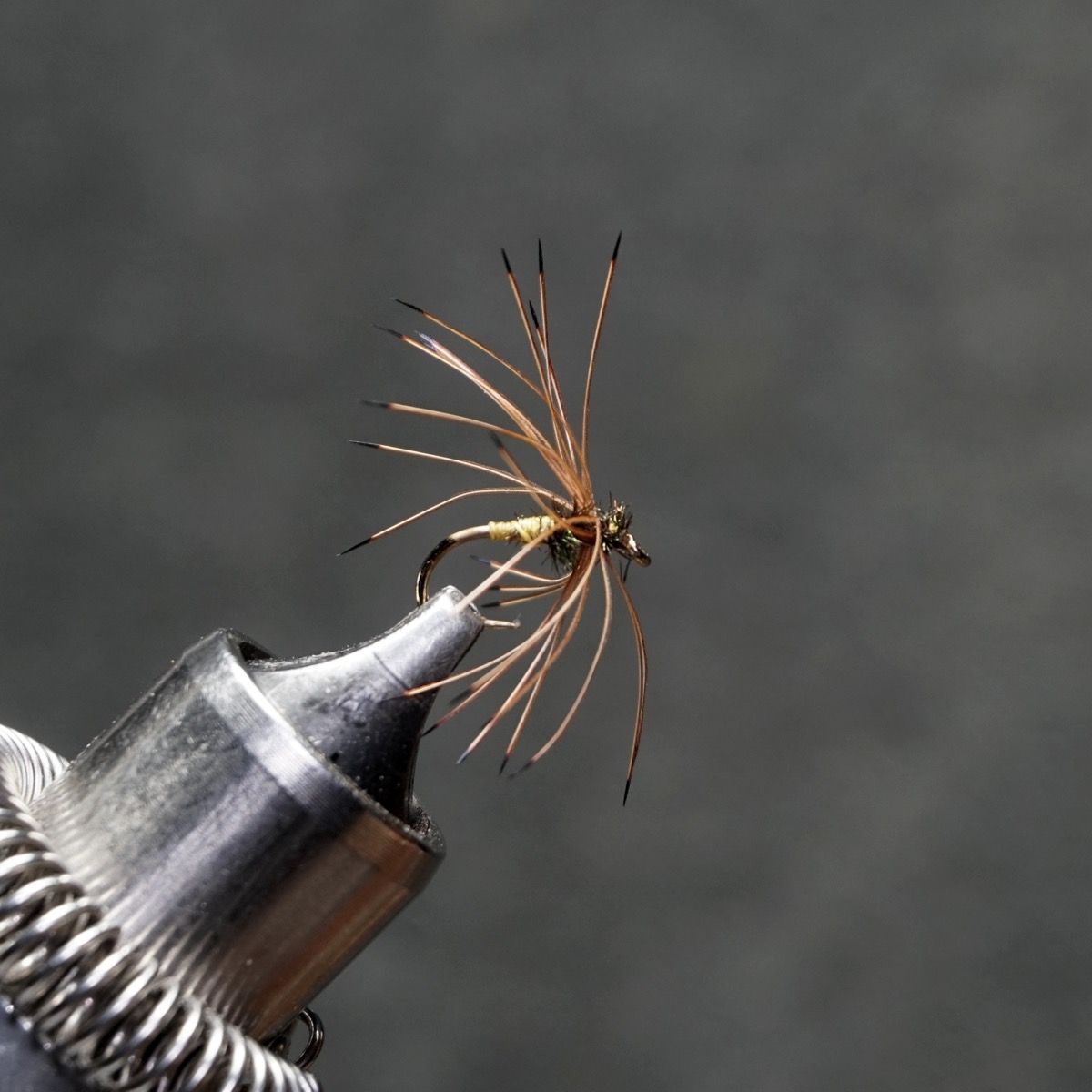 Red Clock (Pheasant) fly pattern tied by Christian Andrews