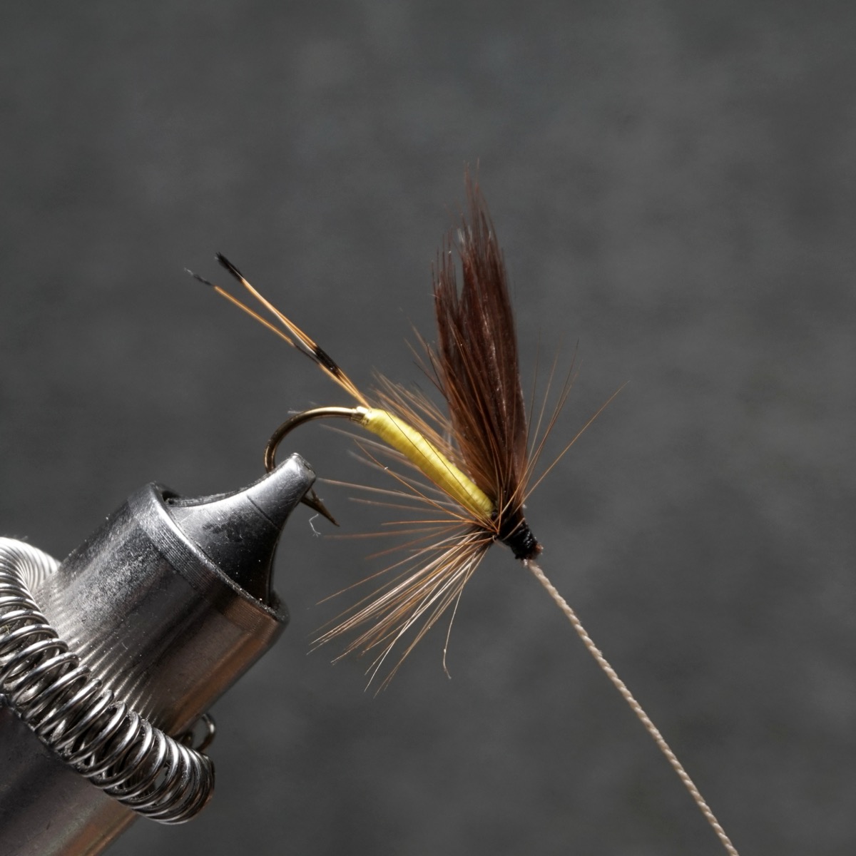 Oak Fly fly pattern tied by Christian Andrews
