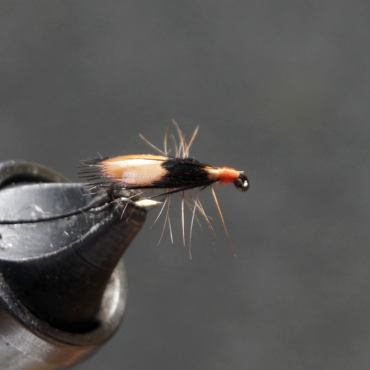 Jassid fly pattern tied by Christian Andrews