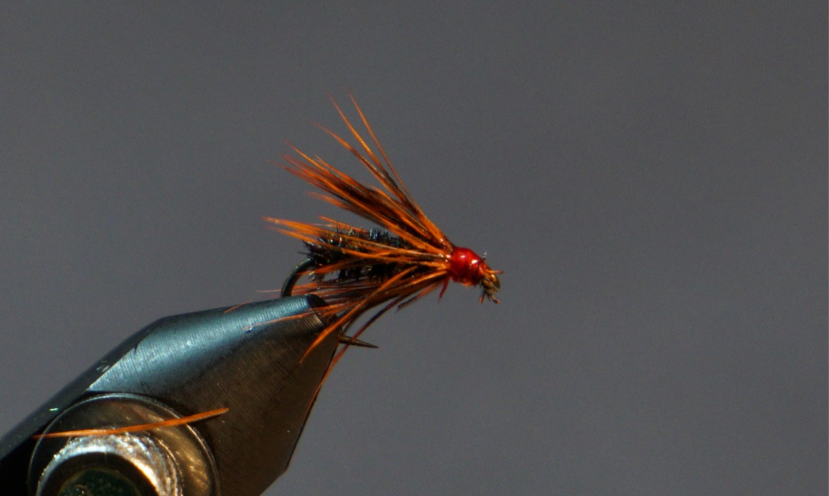 Red Hackle fly pattern tied by Christian Andrews