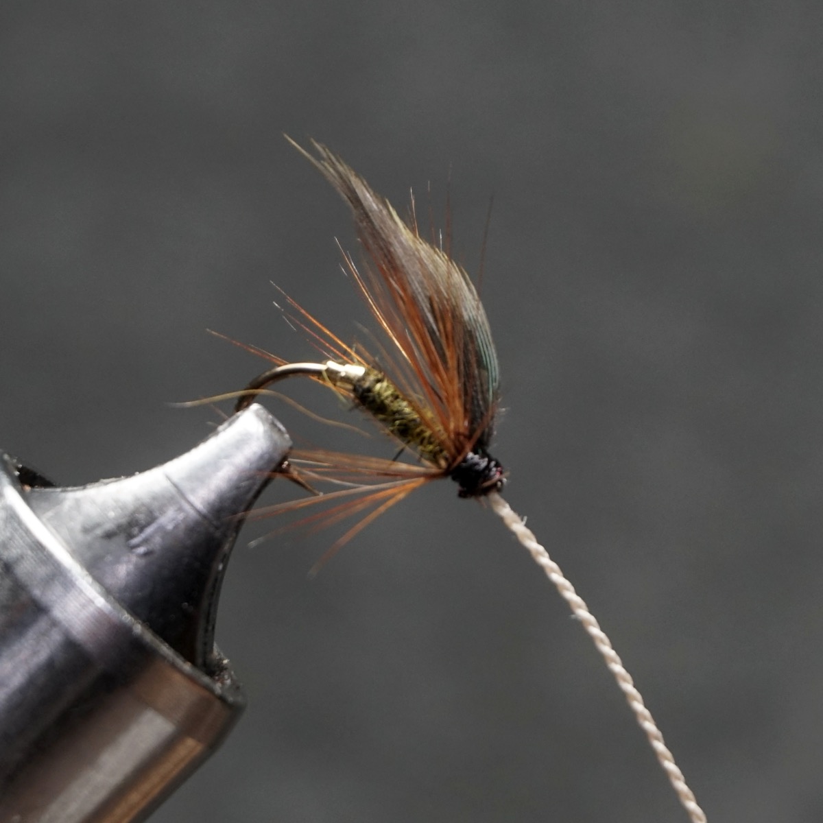 Olive Gnat fly pattern tied by Christian Andrews