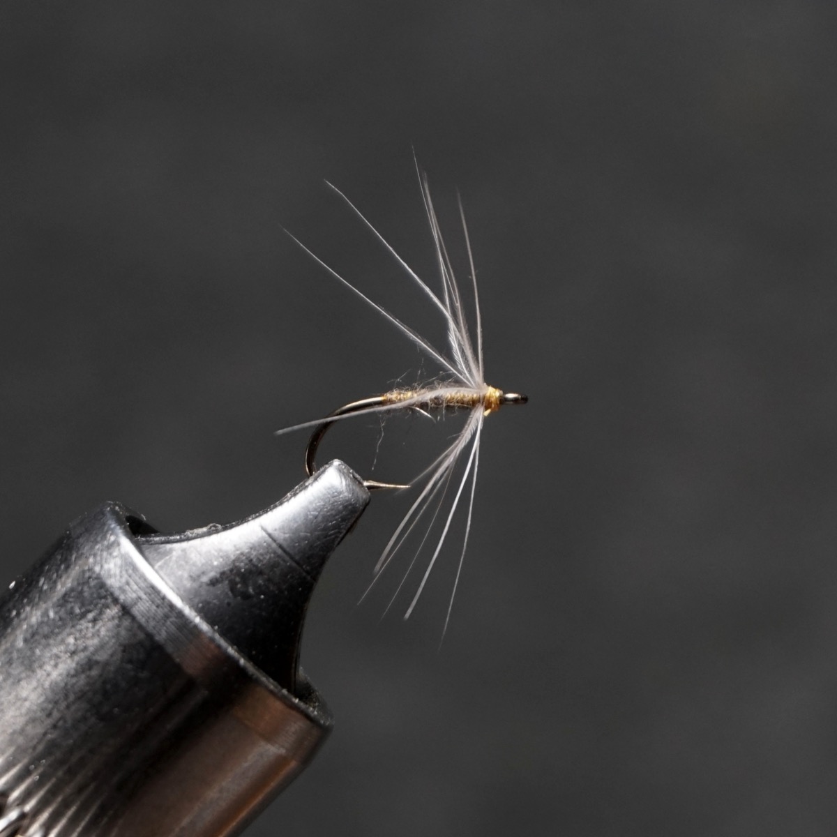 Poult Bloa fly pattern tied by Christian Andrews
