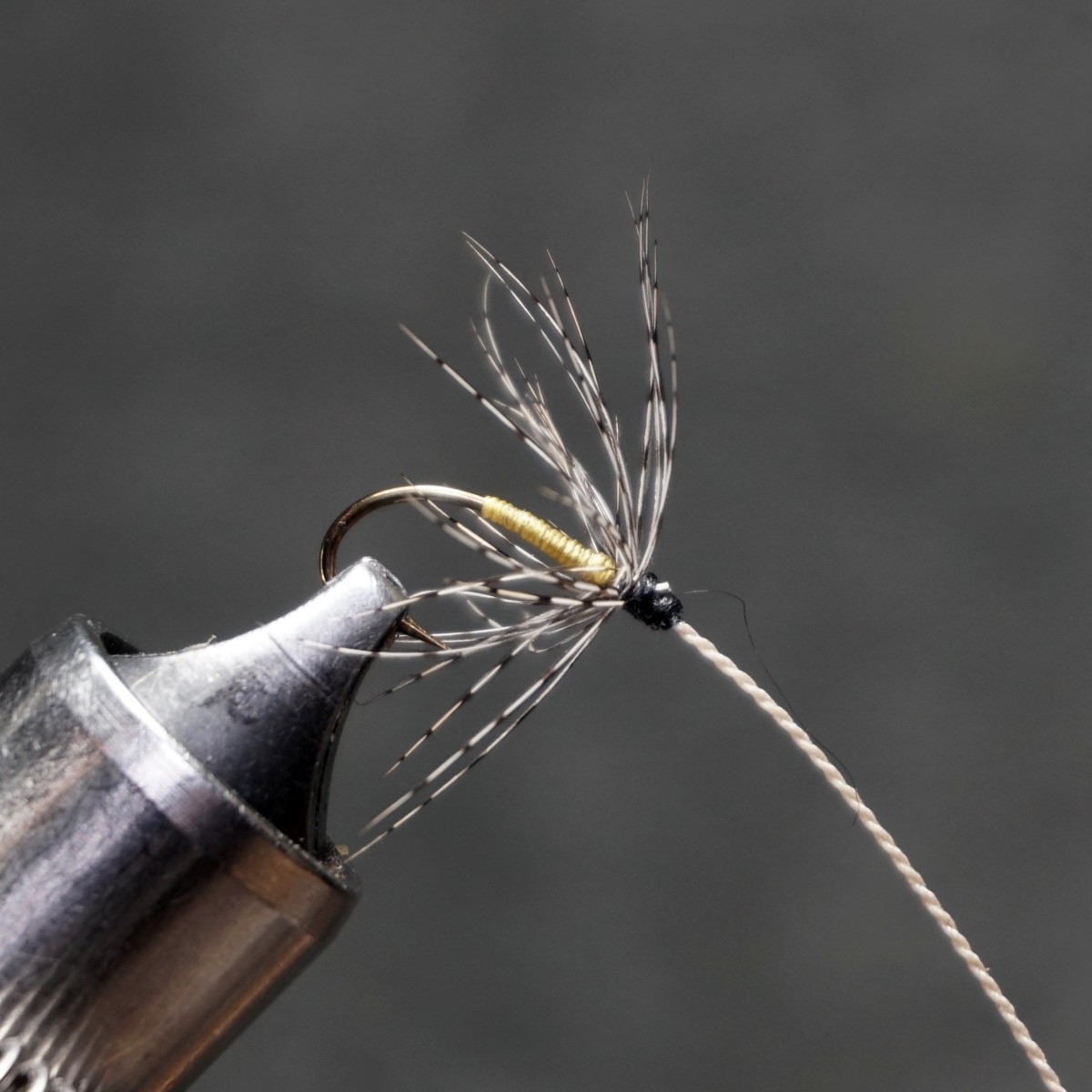 Dotterel (Partridge variant) fly pattern tied by Christian Andrews