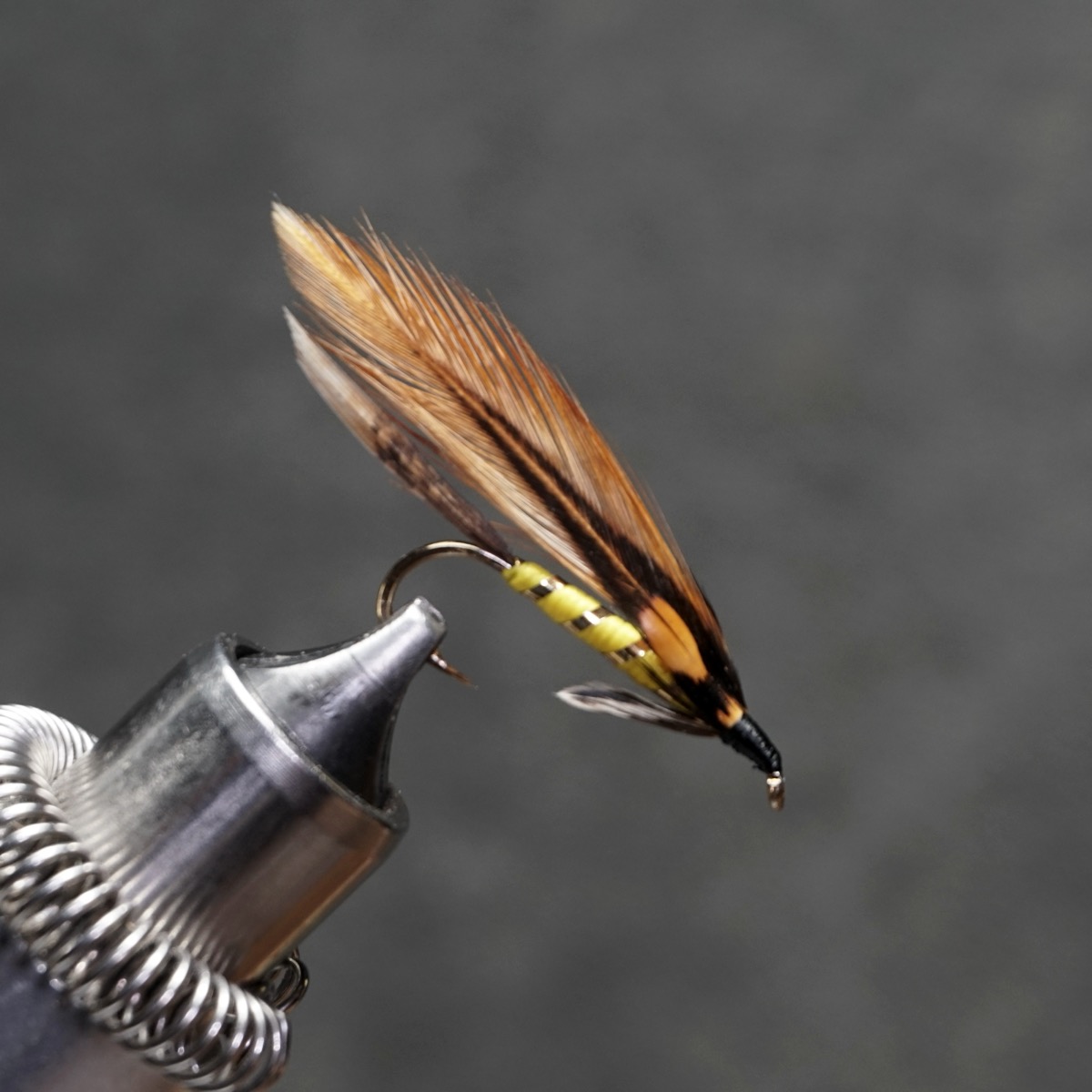 Golden Darter fly pattern tied by Christian Andrews