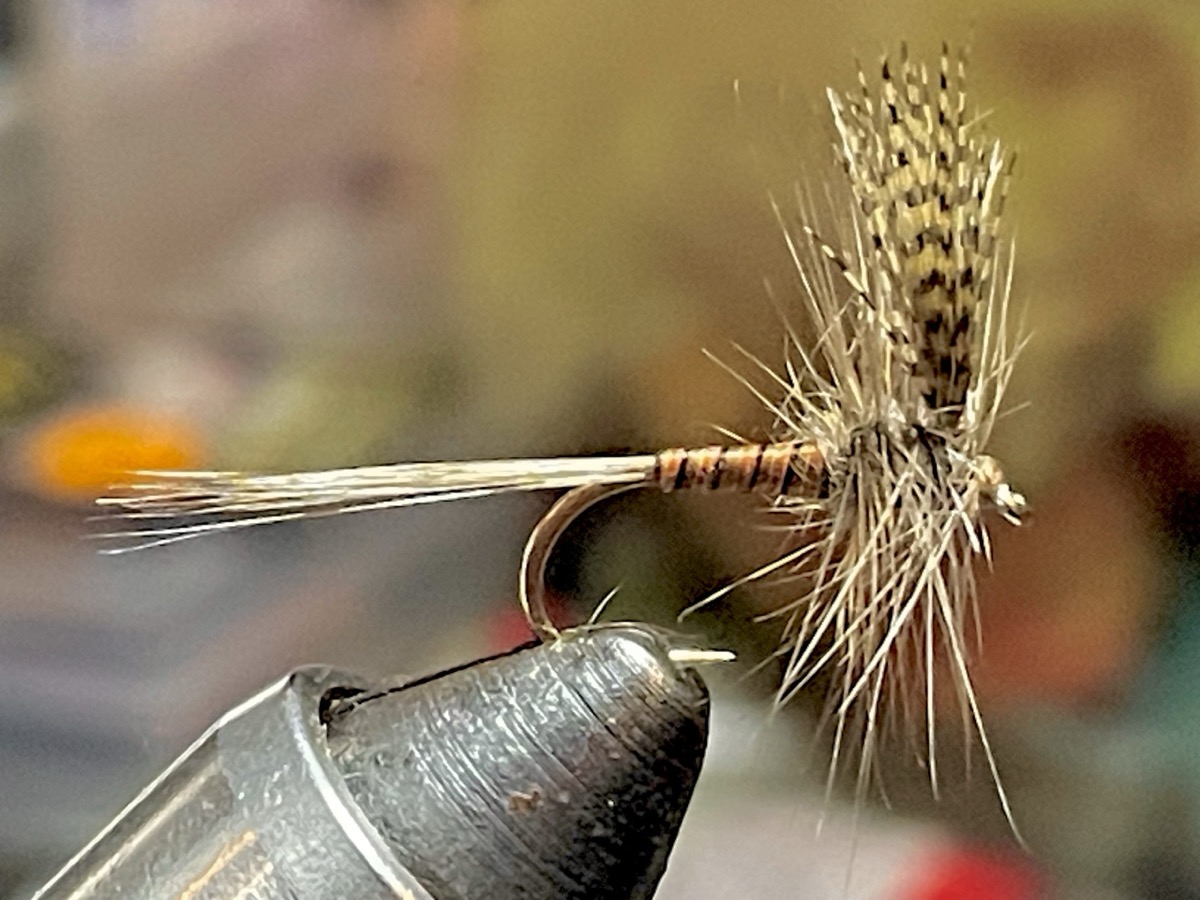 EP March Brown fly pattern tied by Brent Jones