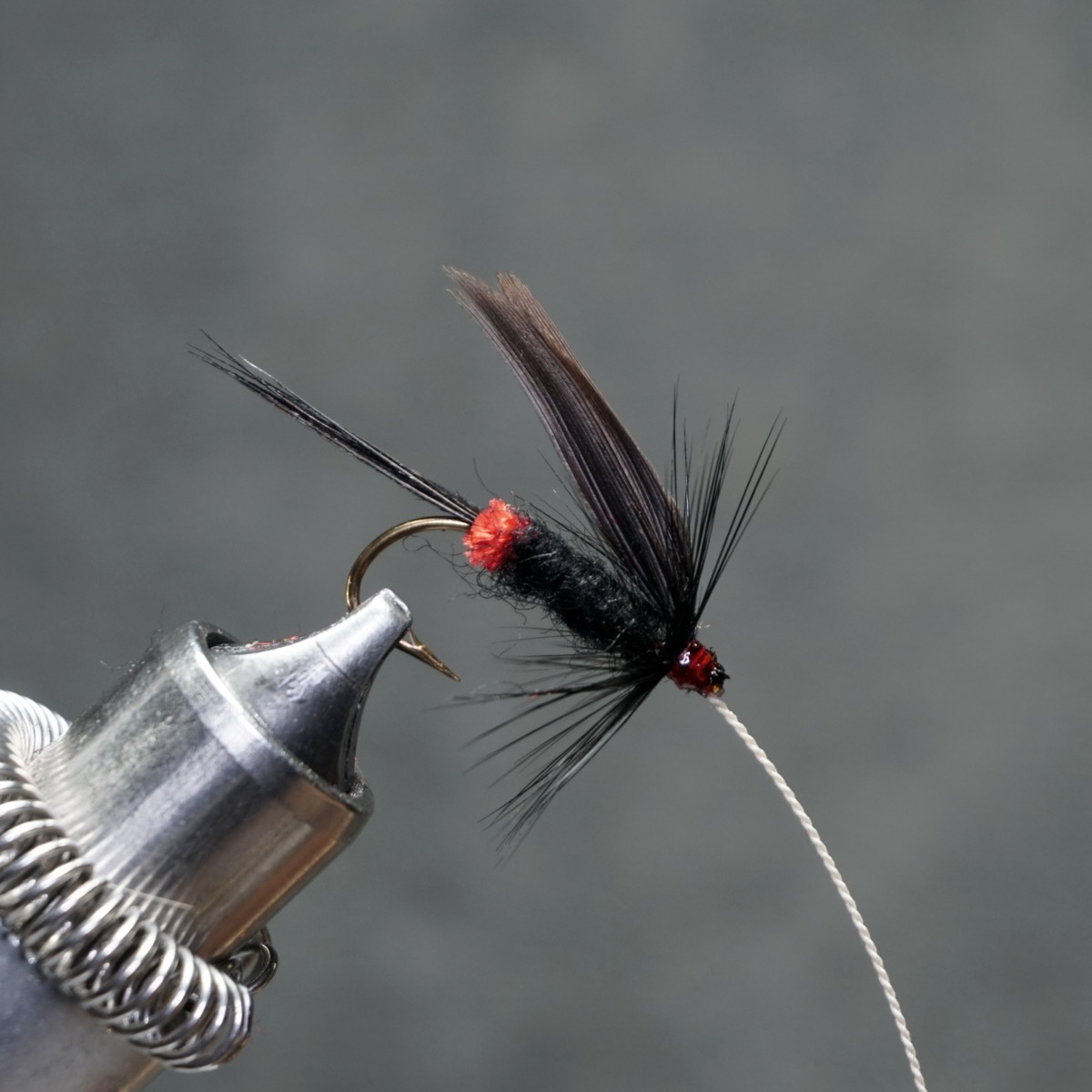 Prime Gnat fly pattern tied by Christian Andrews