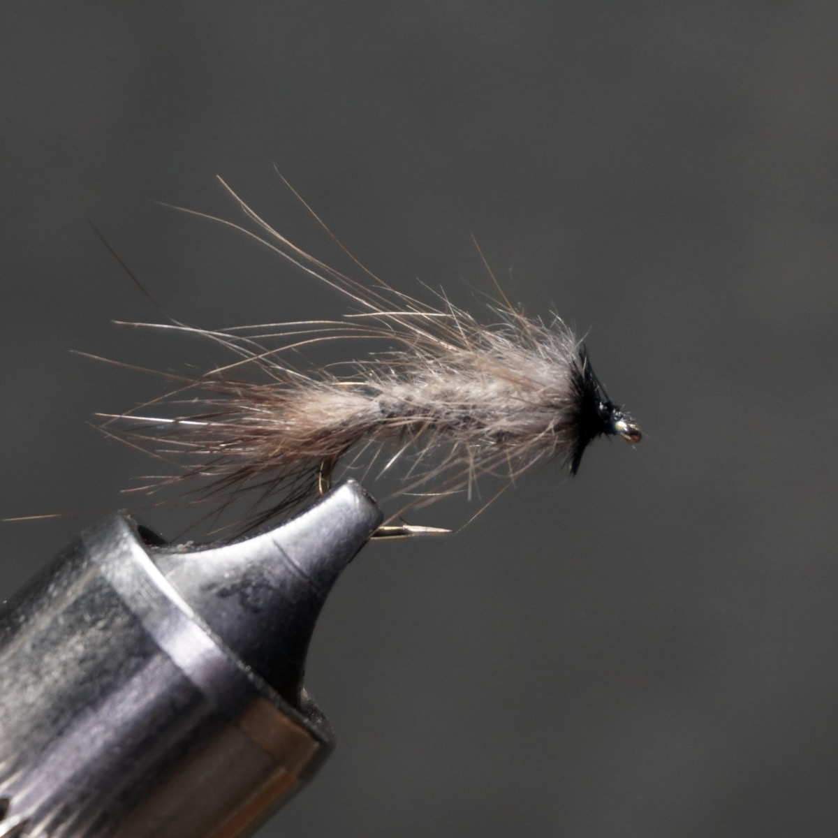 Casual Dress fly pattern tied by Christian Andrews