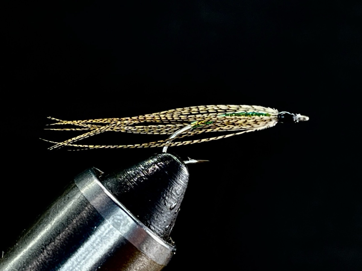 Wood duck minnow fly pattern tied by Brent Jones