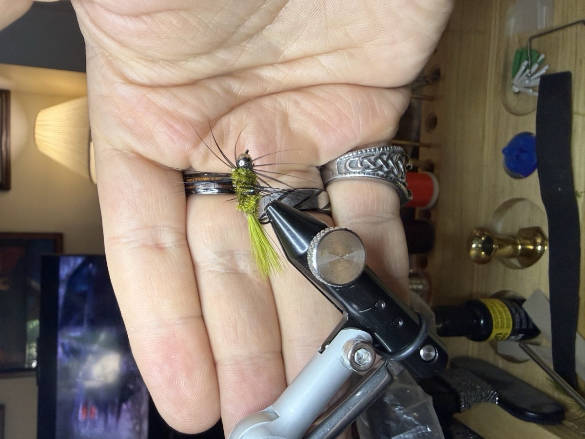 Whoops Micro Bugger fly pattern tied by Rob Garff