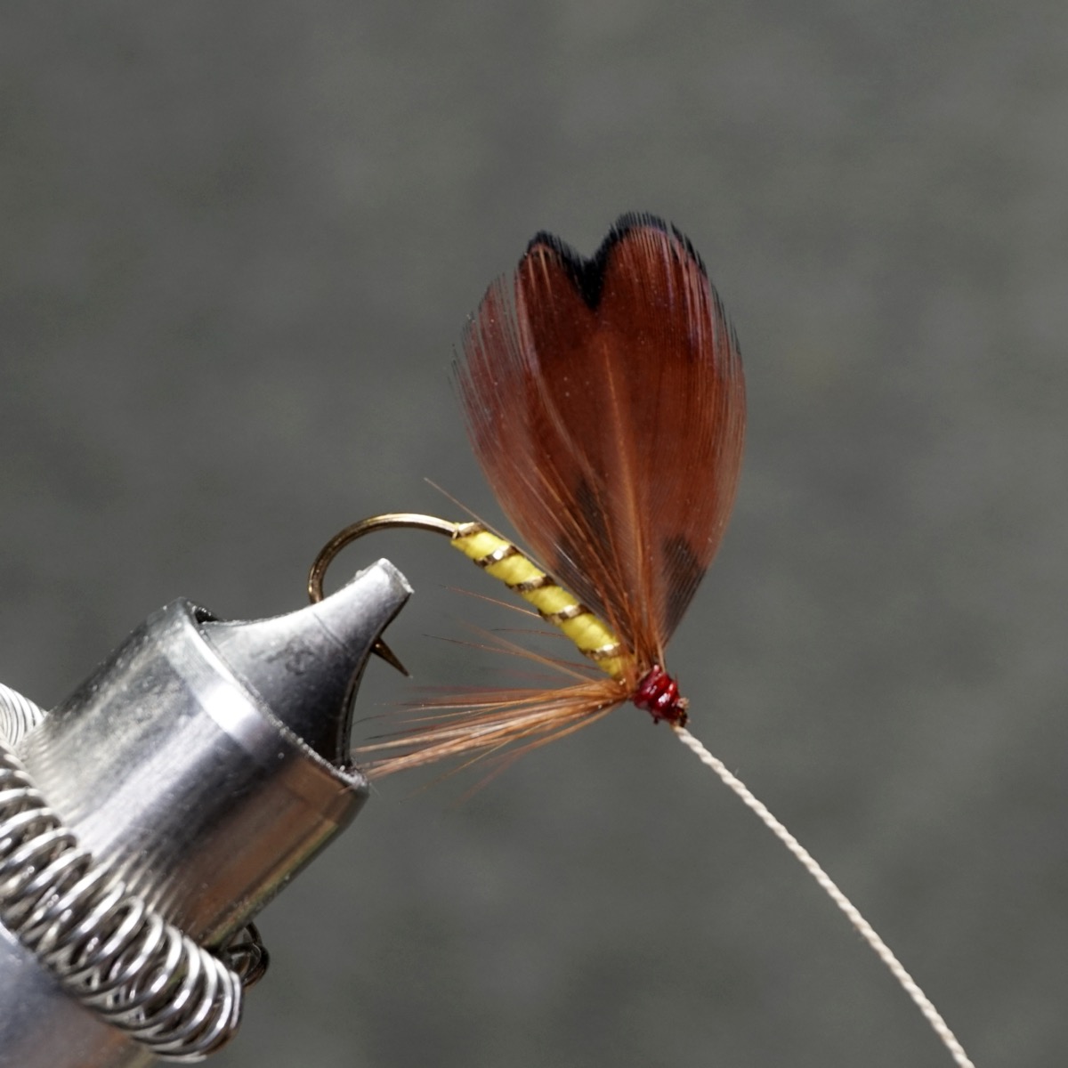 Pheasant fly pattern tied by Christian Andrews
