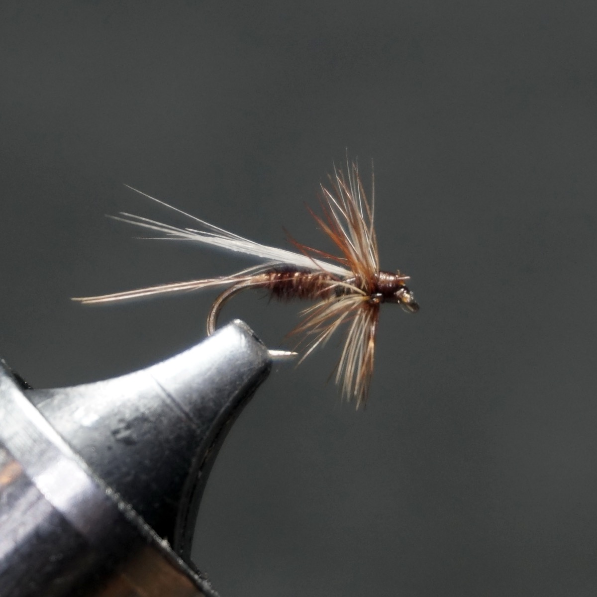 Early Brown Stone fly pattern tied by Christian Andrews