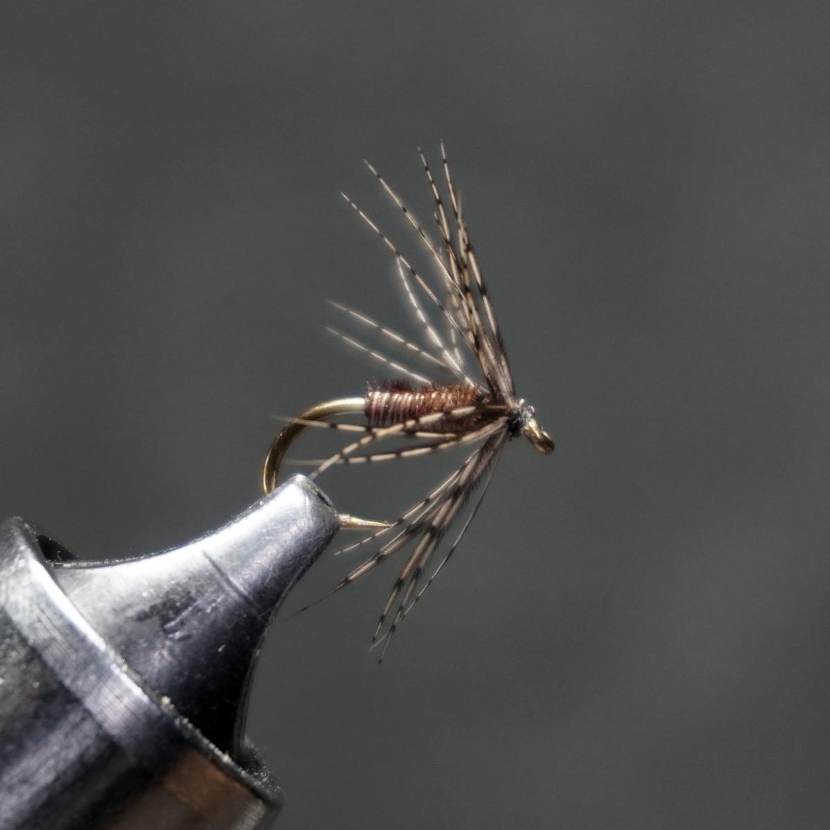 Autumn Dun fly pattern tied by Christian Andrews