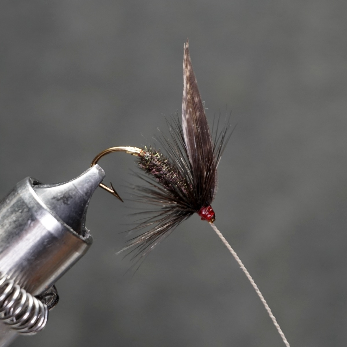 Peacock Fly fly pattern tied by Christian Andrews