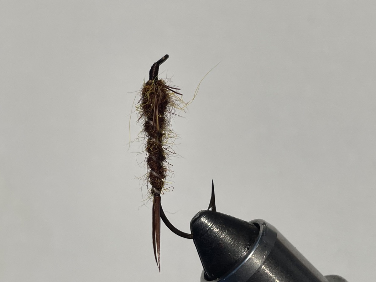 Salmon Fly Nymph (Pteronarcella) fly pattern tied by Brent Jones