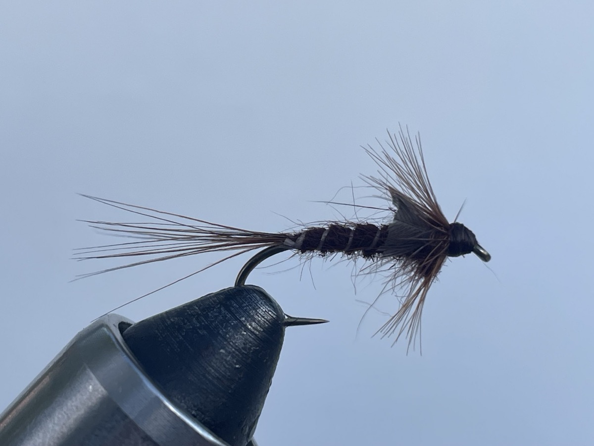 Early Brown Stonefly Nymph (Brachyptrea Species) fly pattern tied by Brent Jones